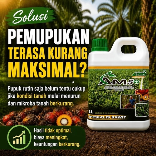 Pupuk Bio Organik AM5+ untuk Maksimalisasi Pemupukan Kelapa Sawit