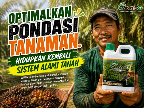 AM5+ untuk kebun sawit