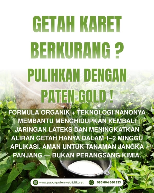 Getah karet berkurang ? pulihkan dengan paten gold!