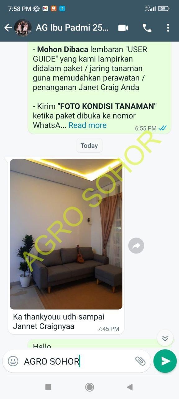 -