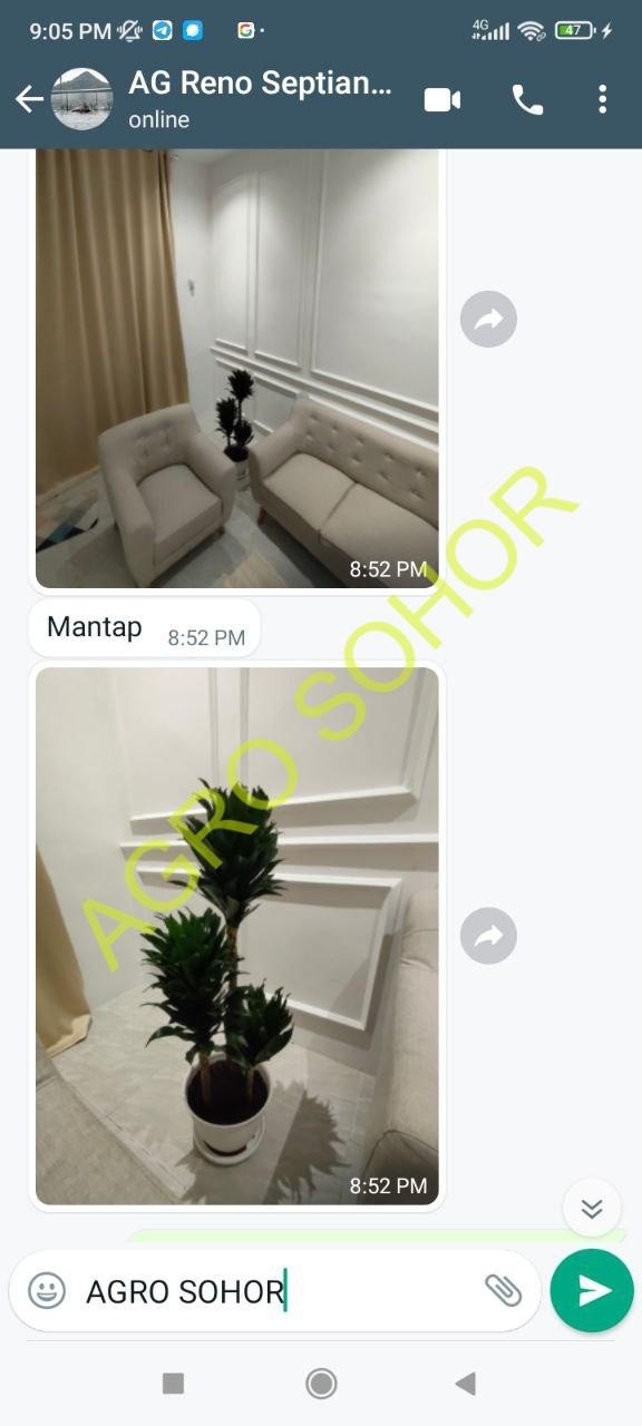 -