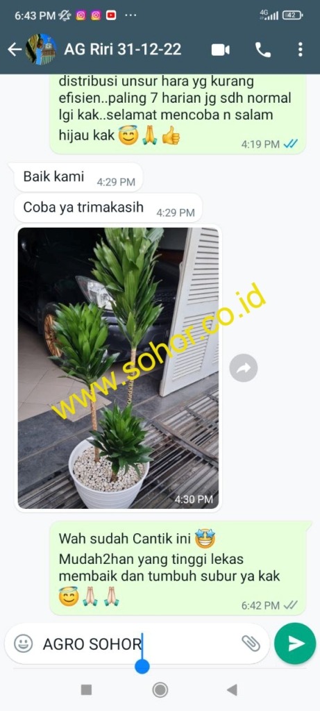 -