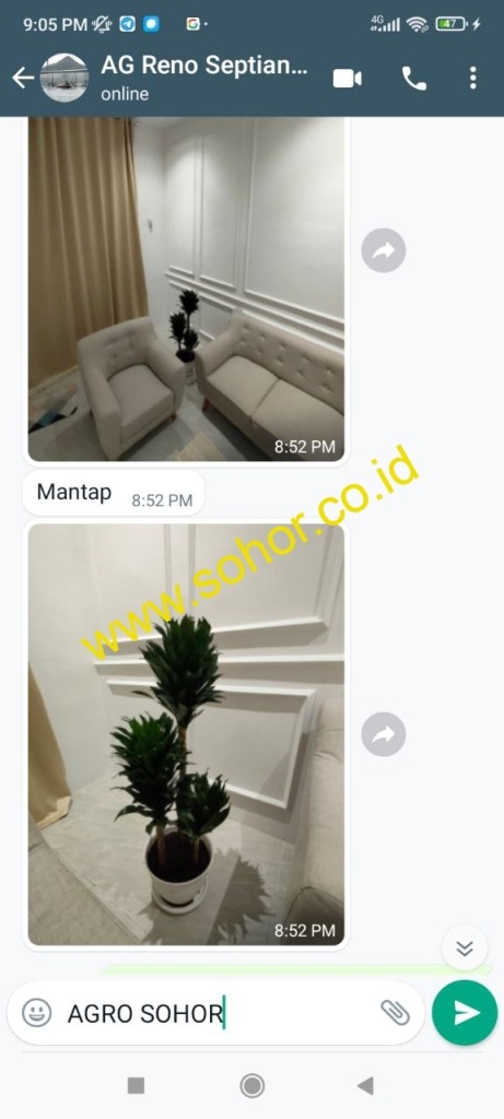 -