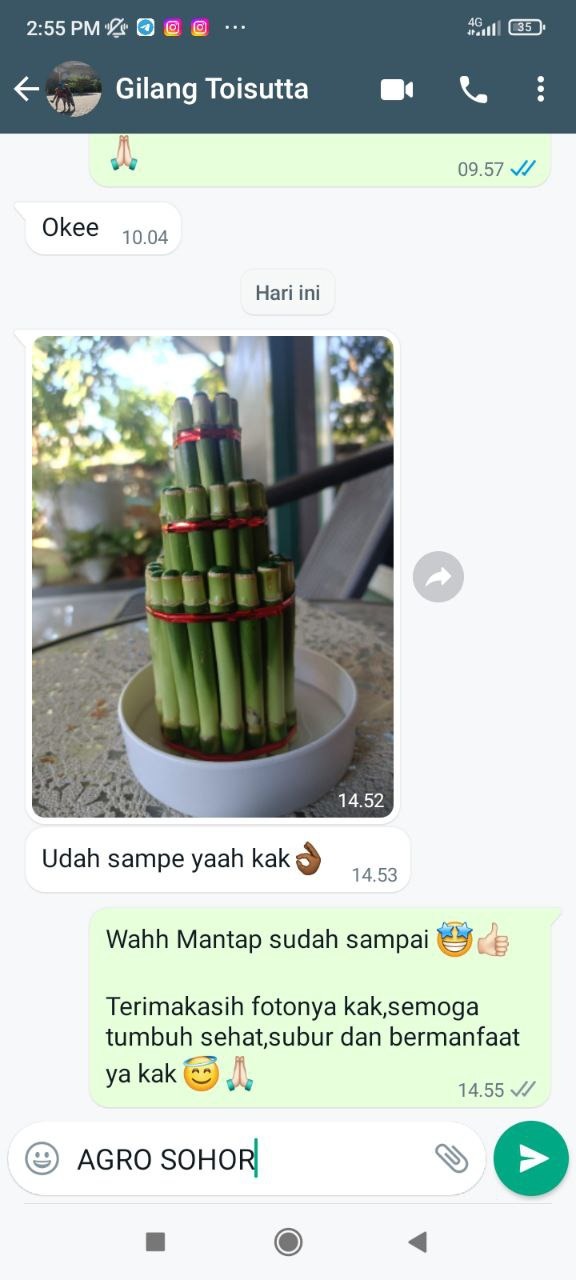 -