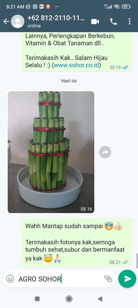 -