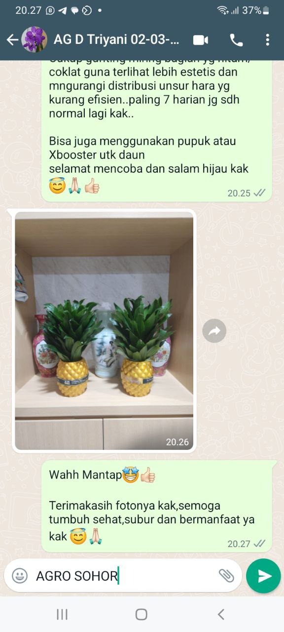 -