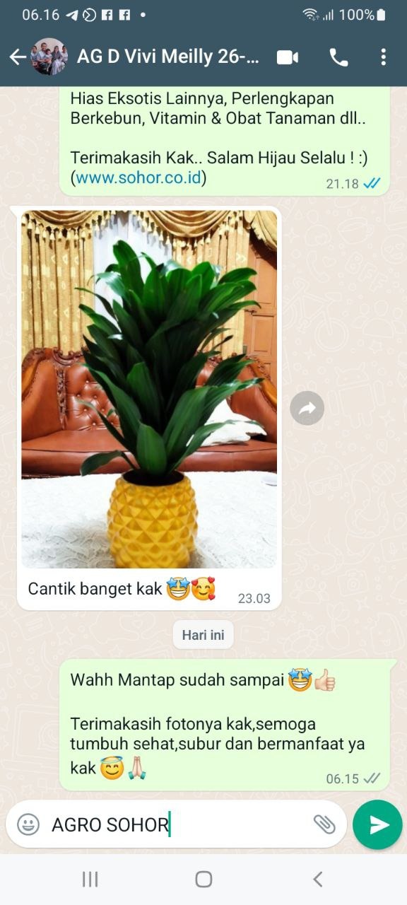 -