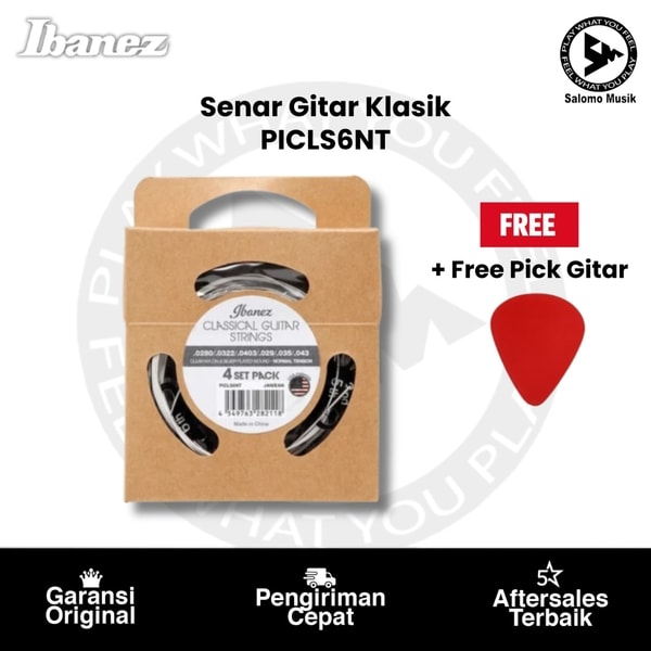 Senar Gitar Klasik Ibanez PICLS6NT