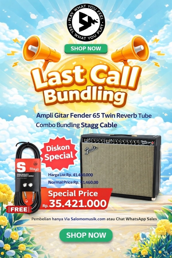LAST CALL BUNDLING! Bundling Fender 65 Twin Reverb Tube Combo + Free Stagg Cable Harga Spesial!