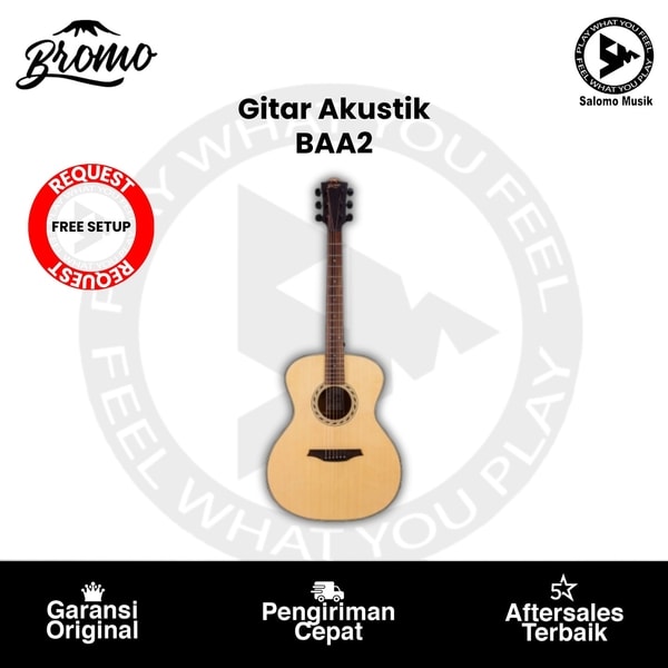 Gitar Akustik Bromo BAA2 Dreadnought