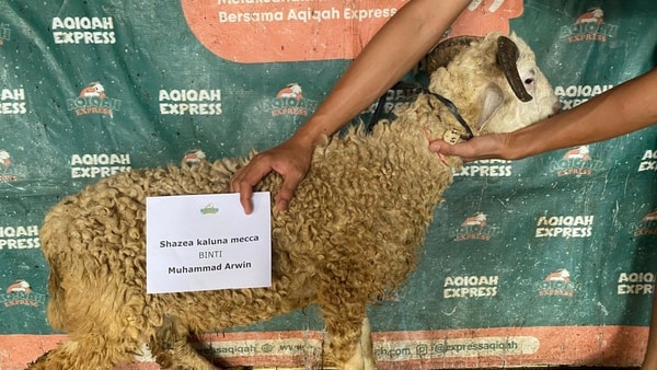 Doa Sembelih Hewan Aqiqah