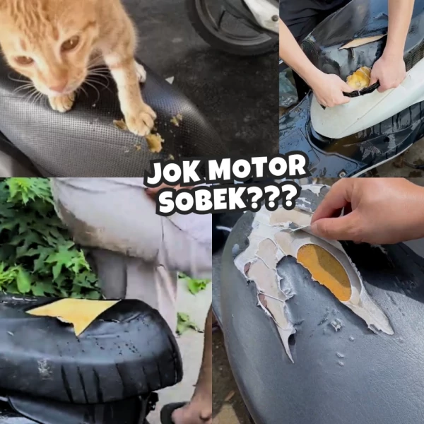Cover Jok Motor 3