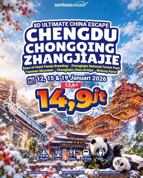 tour china lengkap chongqing zhangjiajie chengdu