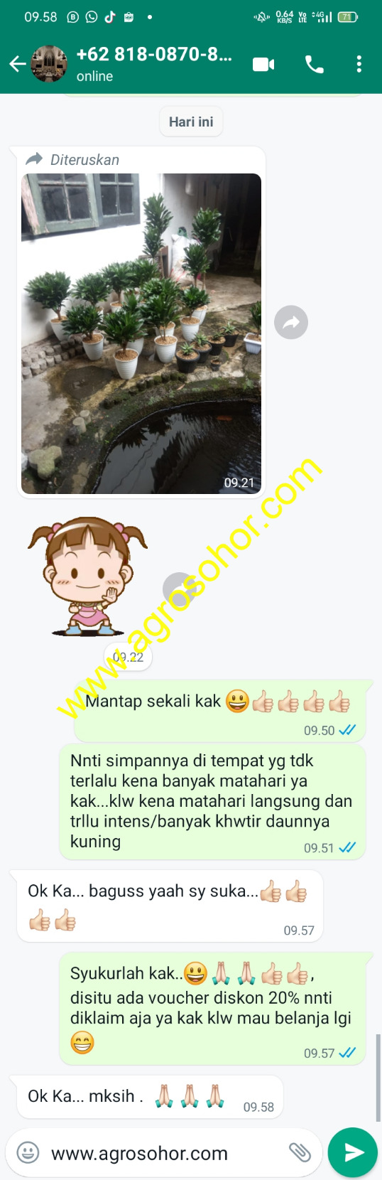 -