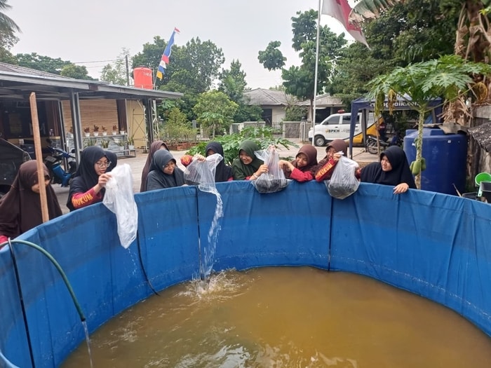 115 Bibit Ikan Nila Menumbuhkan Harapan Kemandirian di RTQ Khairukum