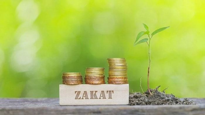 Pengertian Zakat, Hukum, Jenis, Syarat, Rukun dan Asnaf