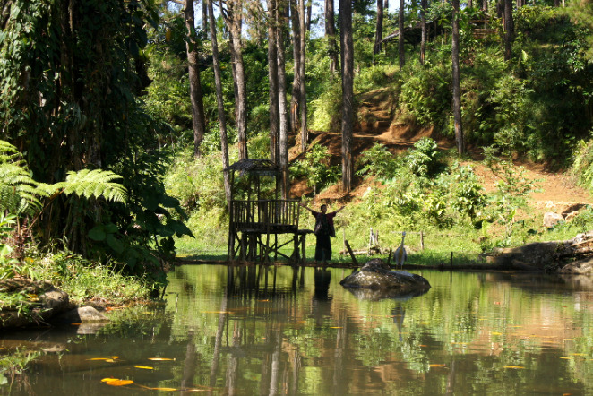 https://www.sparklepush.com/2022/08/berkunjung-ke-tempat-wisata-tuk-sirah-Pemali-brebes-selatan.html