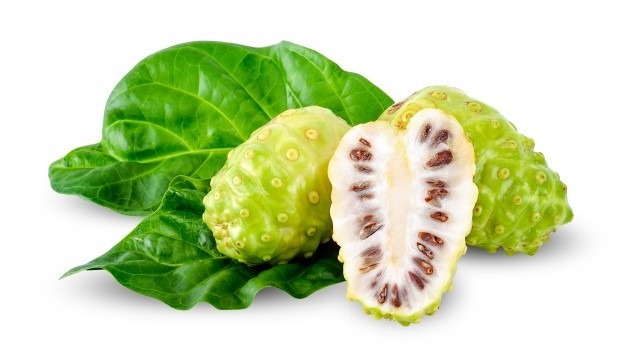 Herbal Mengkudaya Bantu Menurunkan Gula Darah Tinggi, Perbaiki Dari Sel Pankreas