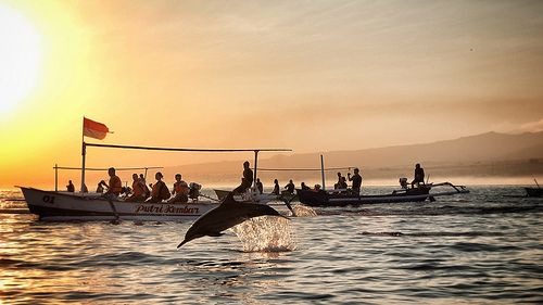 Panduan Lengkap Wisata Gili Ketapang: Harga, Rute, Jadwal Trip, dan Cara Booking