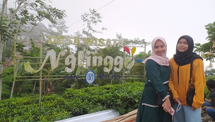 Kebun Teh Nglinggo