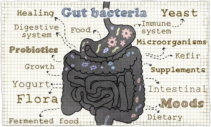 Kamu Tidak Bisa Memperbaiki Microbiome dalam Semalam, Ini Alasannya!