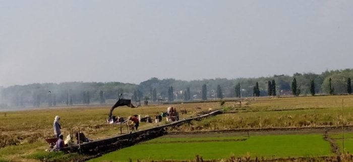Saat Panen, Petani Berseri