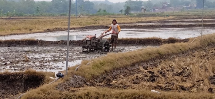 Hujan, Rezeki Petani