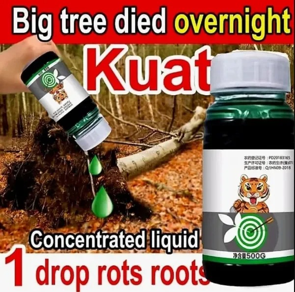 -