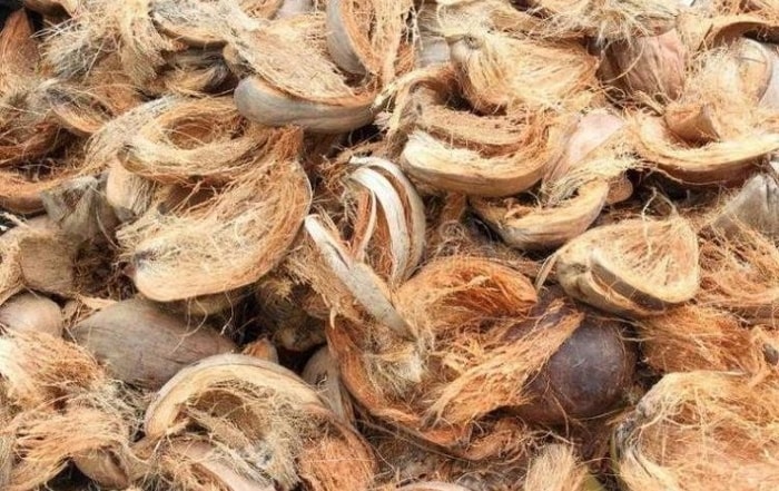 Rantai Nilai Sabut Kelapa dari Petani hingga Industri