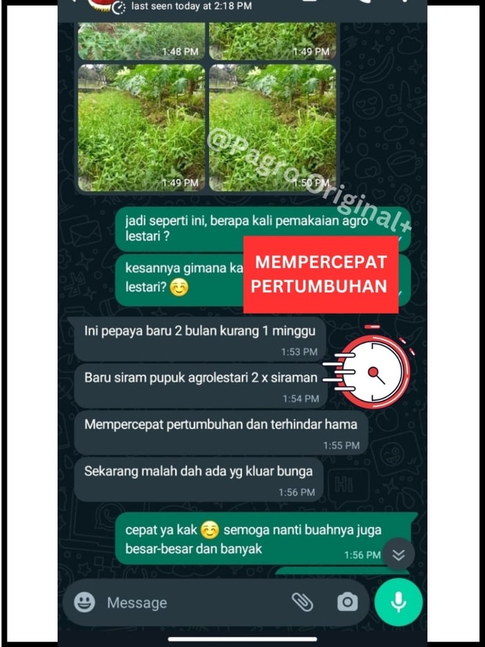 testimoni pupuk agro lestari