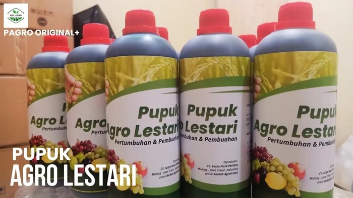 Pupuk Agro Lestari: Panduan, Manfaat, dan Penggunaan