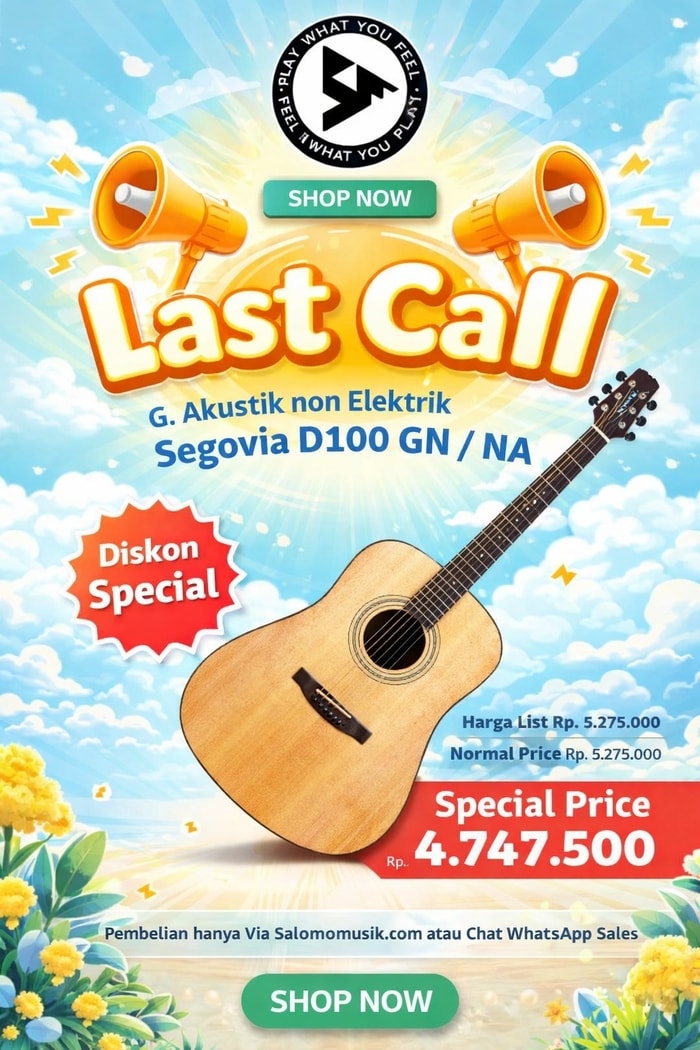 LAST CALL! Gitar Akustik Non Elektrik Segovia D100 GN/NA Harga Spesial!