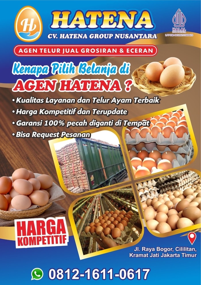 KENAPA PILIH BELANJA DI HATENA ?