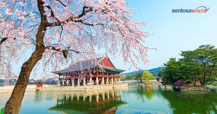 Indonesia ke Korea: Perlengkapan yang harus dipersiapkan untuk liburan!