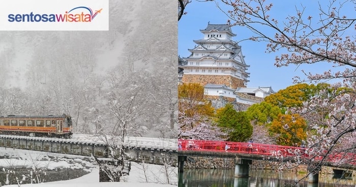 Ketahui Beberapa Musim Di Jepang dan Masing-Masing keunikannya!