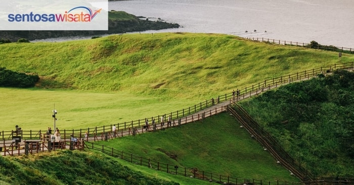 Pulau Jeju di Korea Selatan: Tempat yang Wajib Dikunjungi