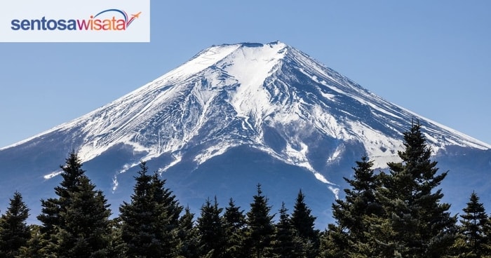 Mount Fuji: Panduan Wisata Lengkap Sebelum Berlibur