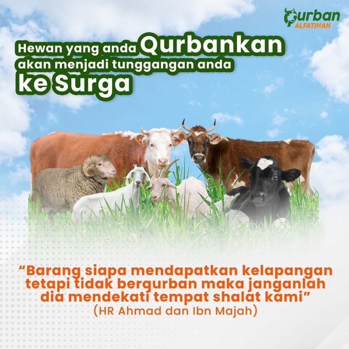 Alfatihah Telah Menyalurkan Daging Qurban kepada 4000 orang penerima