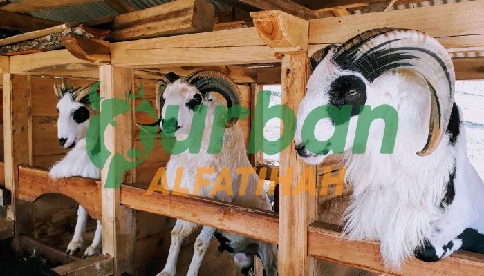 Macam-Macam Puasa Sunnah Sebelum Hari Raya Idul Adha!