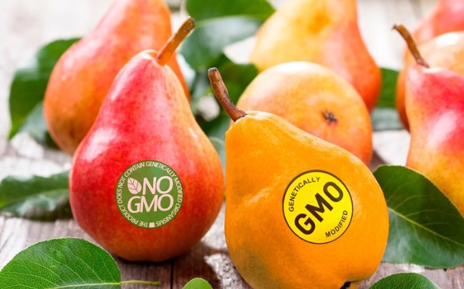 5 cara menghindari makanan Genetically Modified Organism (GMO)