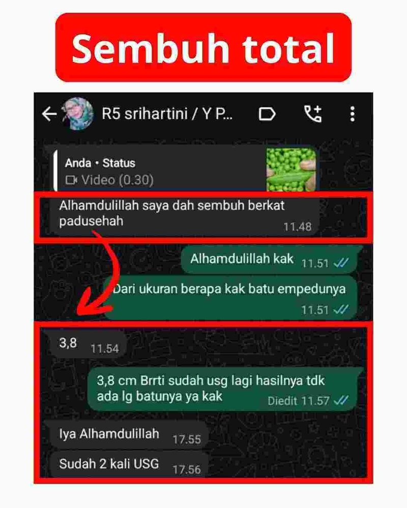 testimoni paduseha - ibu srihartini