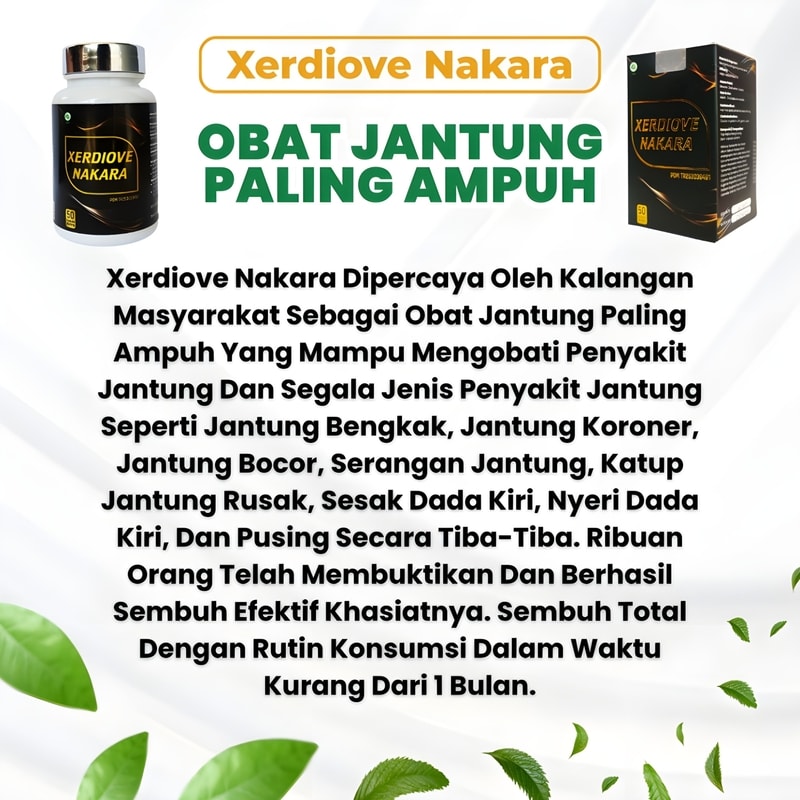 xerdiove nakara obat herbal jantung alami terbaik dikelasnya paling ampuh