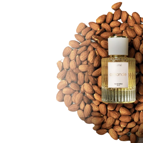 parfum lume amande