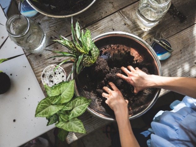 Kokedama? Teknik Menanam dari Jepang!