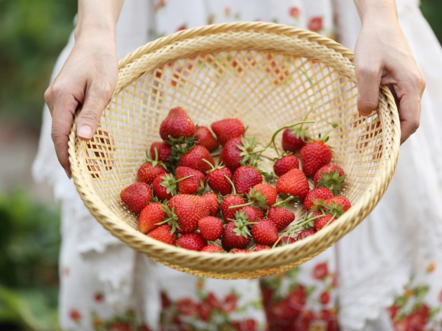 Cara Simpan Strawberry Agar Awet Hingga 1 Tahun