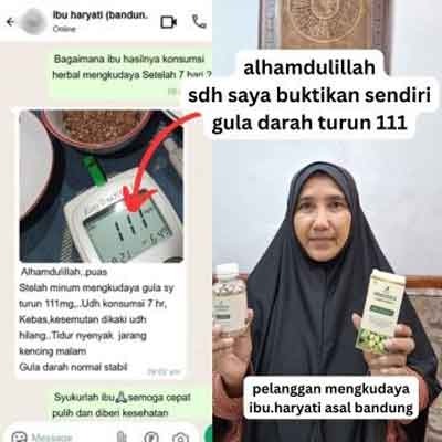Testimoni 2
