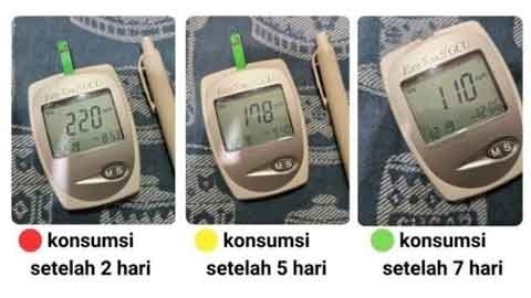 Testimoni 1