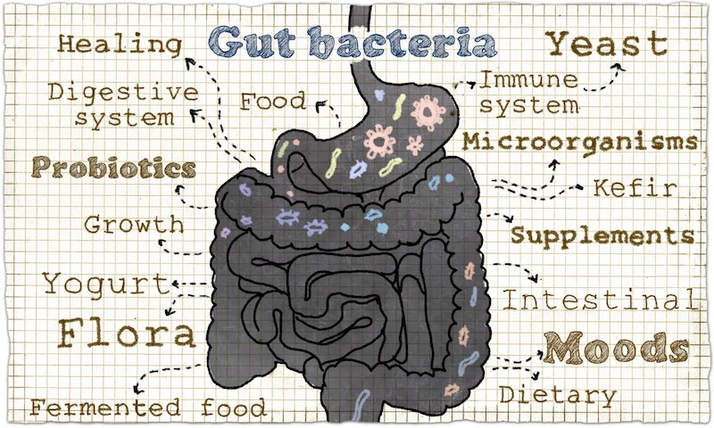 Kamu Tidak Bisa Memperbaiki Microbiome dalam Semalam, Ini Alasannya!