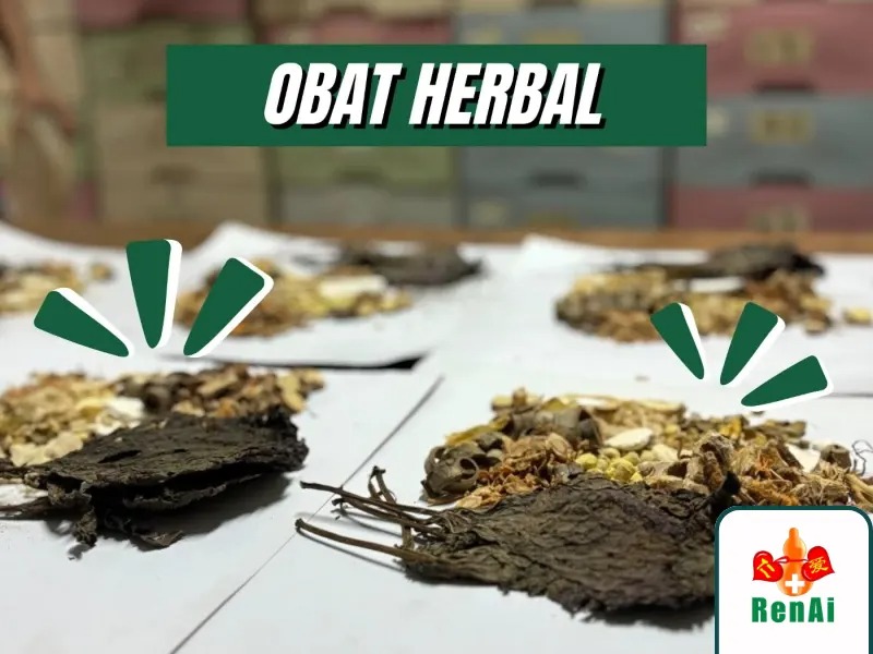 TERAPI HERBAL DI KLINIK REN AI