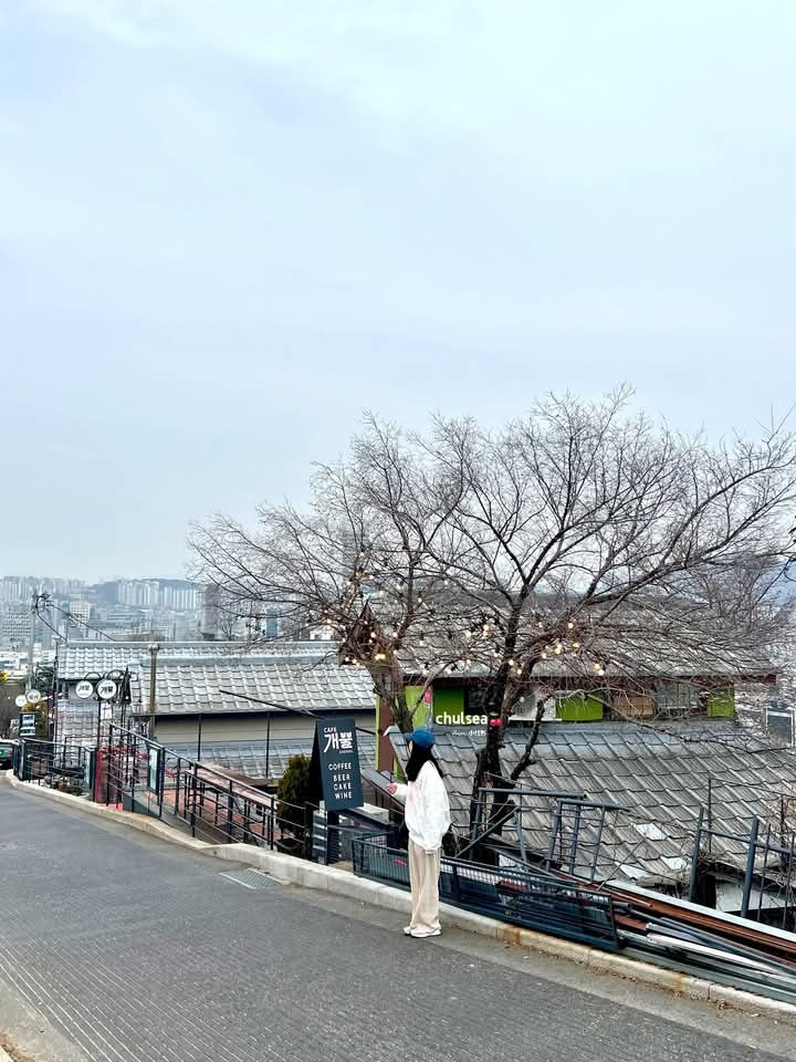Pemandangan dikorea selatan
